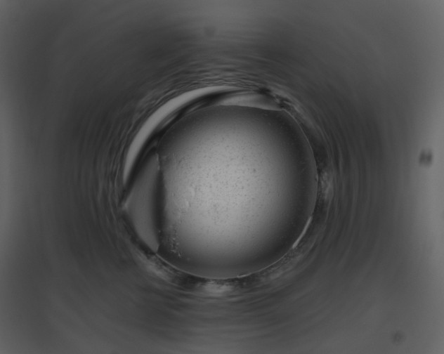 X0000096630570200802121050