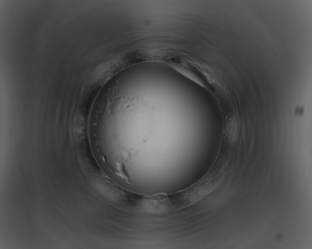 X0000096630571200802121050