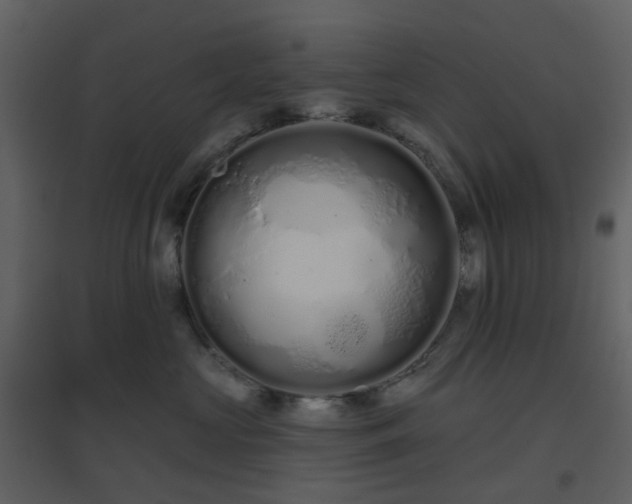 X0000096630573200802121050