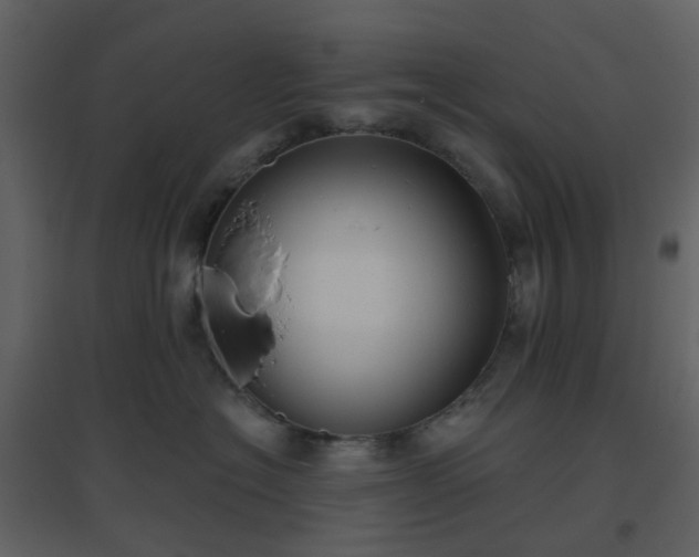X0000096630574200802121050