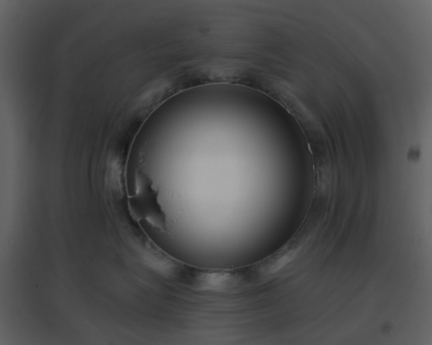 X0000096630575200802121050