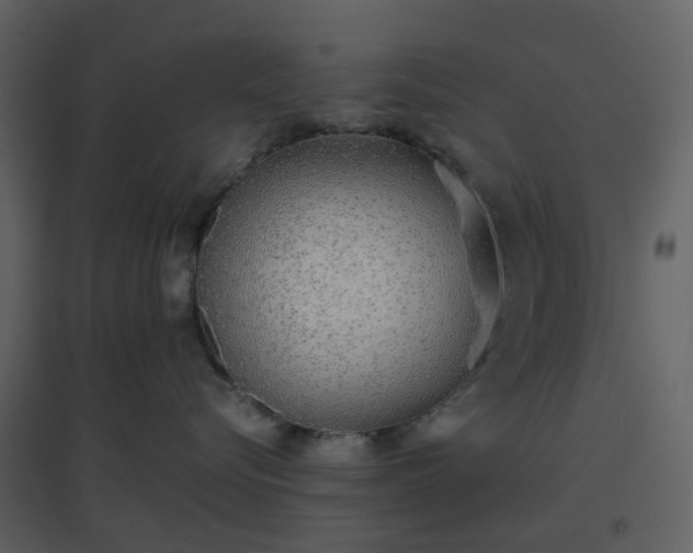 X0000096630576200802121050