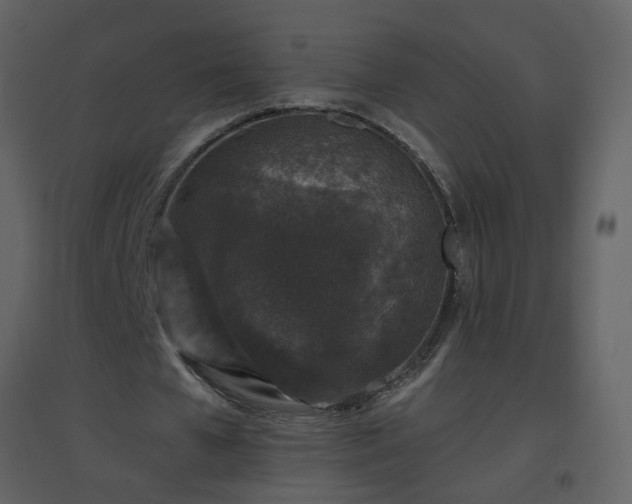 X0000096630577200802121049