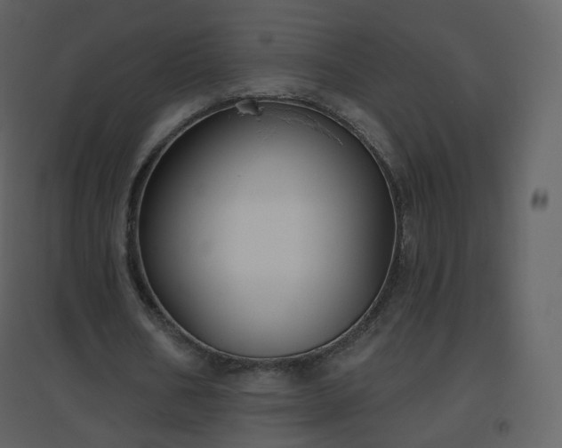 X0000096630578200802121049