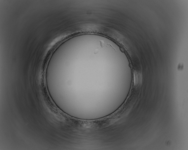 X0000096630579200802121049