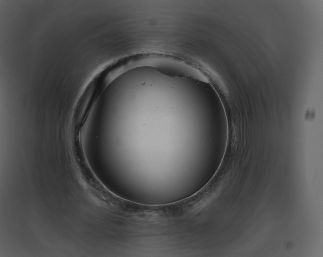 X0000096630580200802121049