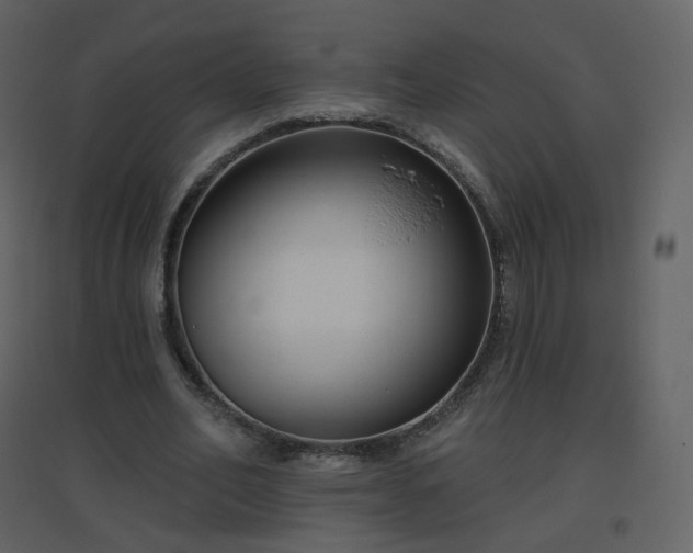 X0000096630582200802121049