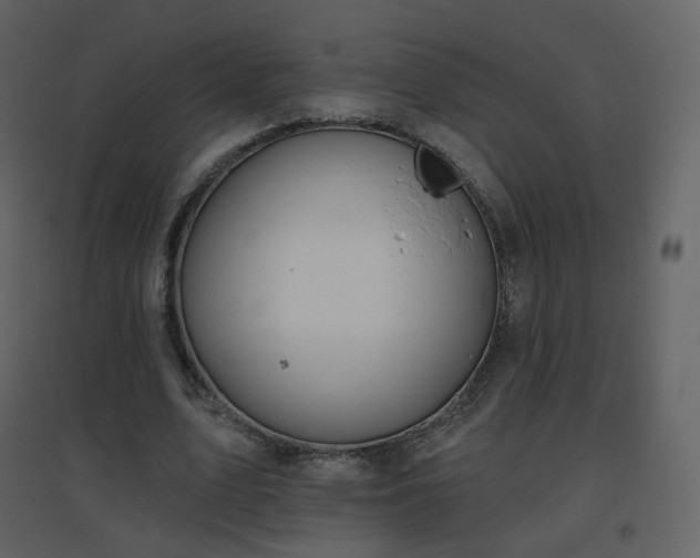 X0000096630583200802121049