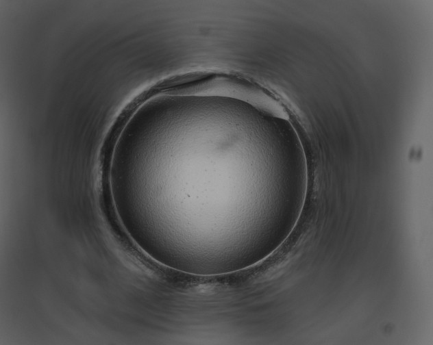 X0000096630584200802121049
