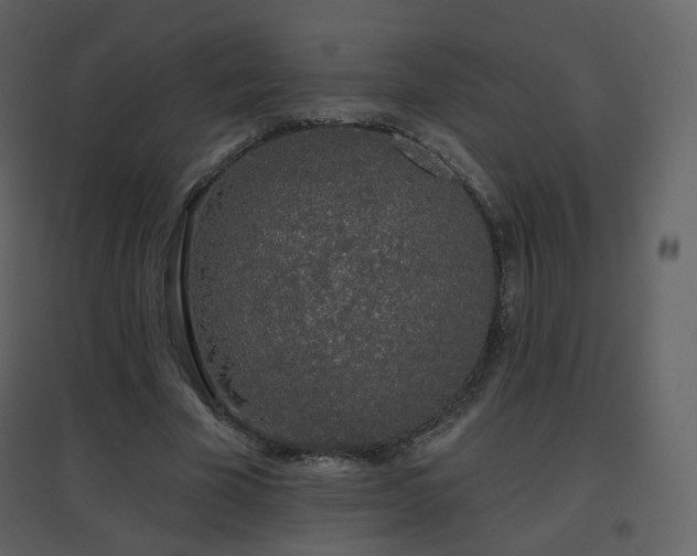 X0000096630585200802121049