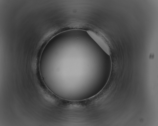 X0000096630586200802121049