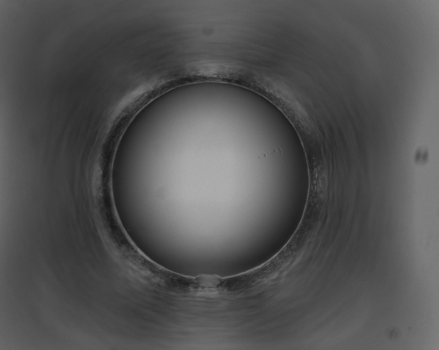 X0000096630587200802121049
