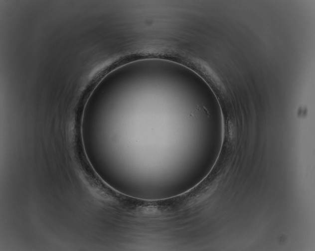 X0000096630588200802121049