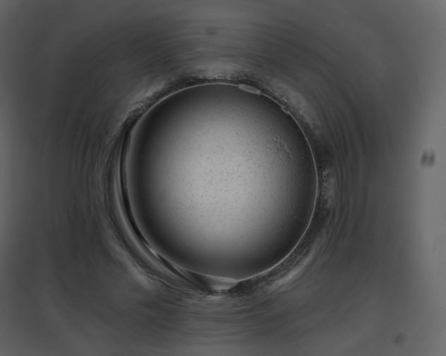 X0000096630589200802121049