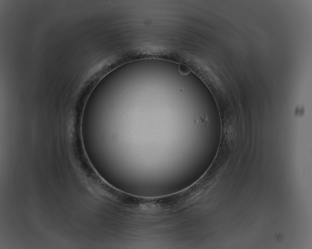 X0000096630591200802121049