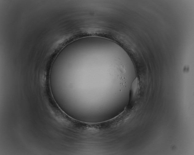 X0000096630592200802121049