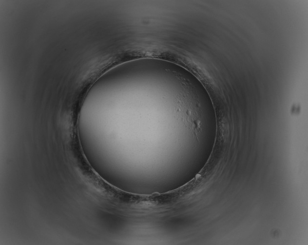 X0000096630594200802121049