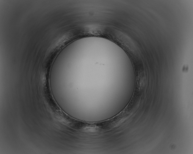 X0000096630595200802121049