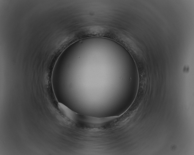X0000096630597200802121049