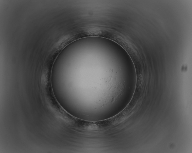 X0000096630600200802121049