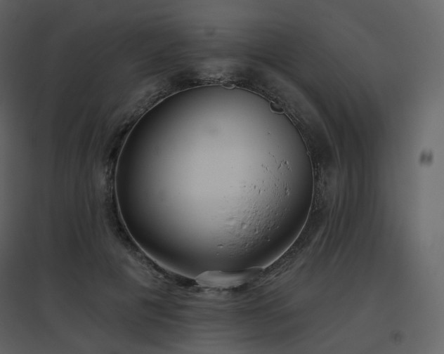 X0000096630601200802121049