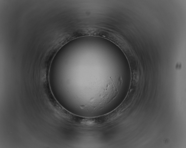 X0000096630602200802121049