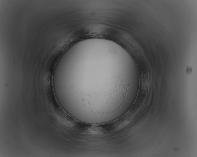 X0000096630603200802121049