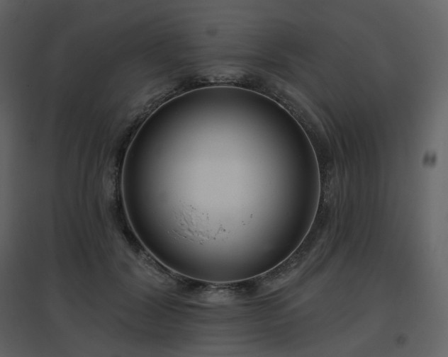 X0000096630604200802121049