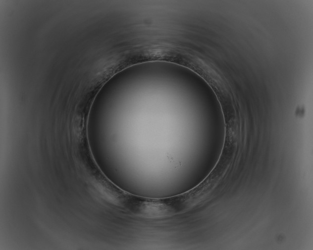 X0000096630605200802121049
