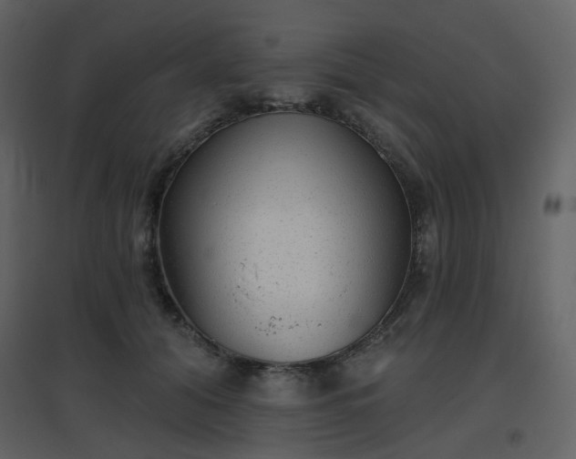 X0000096630608200802121049