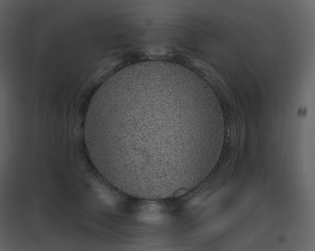 X0000096630610200802121049