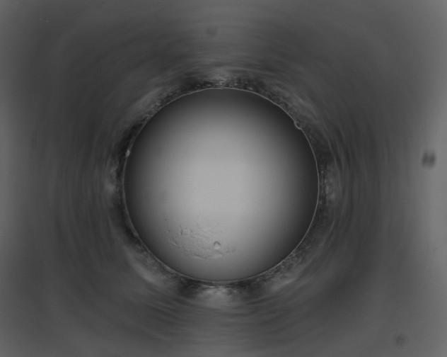 X0000096630611200802121049