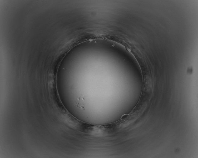 X0000096630612200802121049