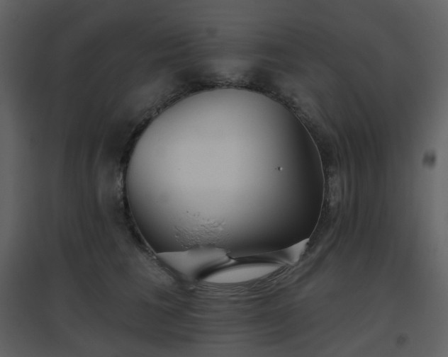 X0000096630613200802121049
