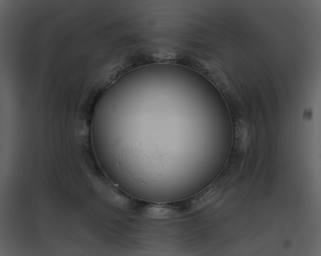X0000096630614200802121049