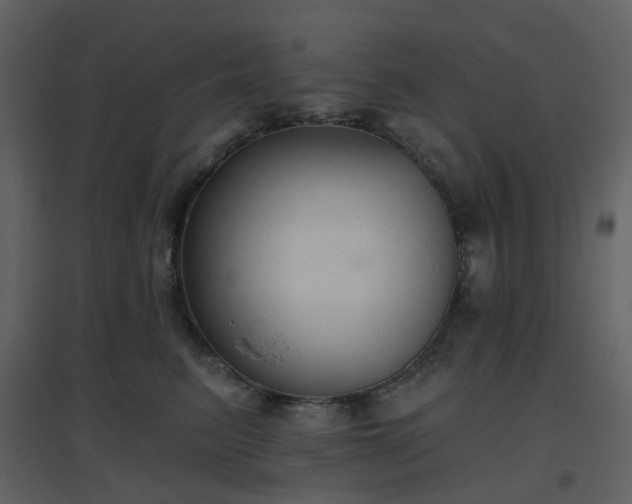 X0000096630615200802121049