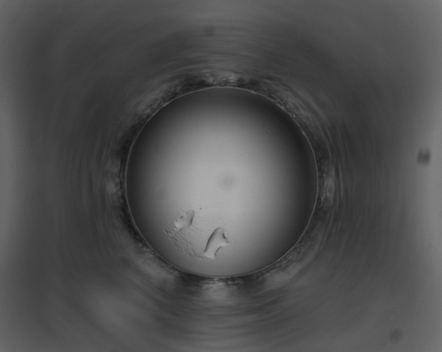X0000096630616200802121049