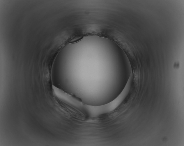 X0000096630617200802121049