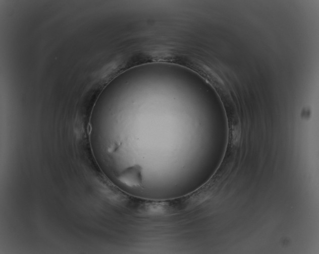 X0000096630618200802121049