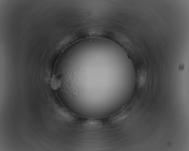 X0000096630619200802121049