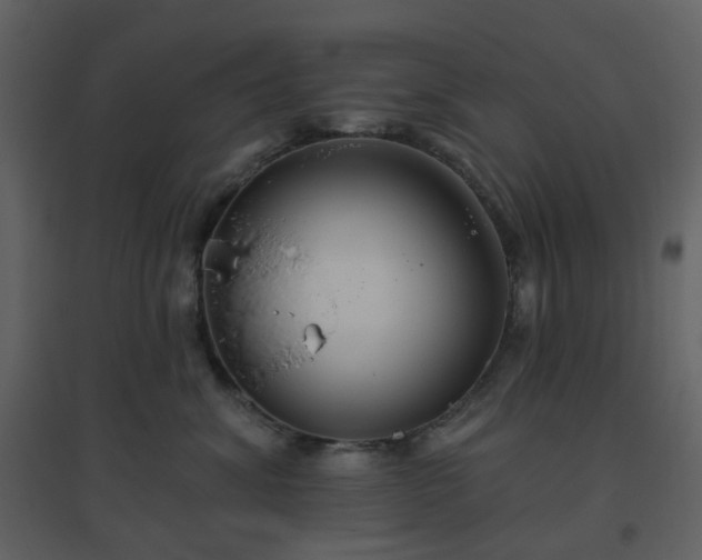 X0000096630620200802121049