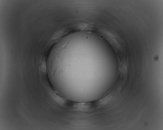X0000096630622200802121048