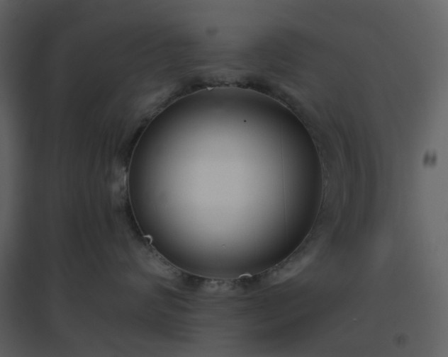 X0000096630624200802121048