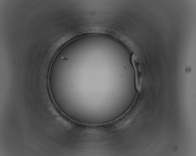 X0000096630625200802121048