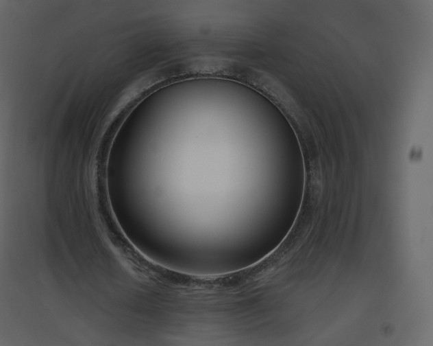 X0000096630626200802121048