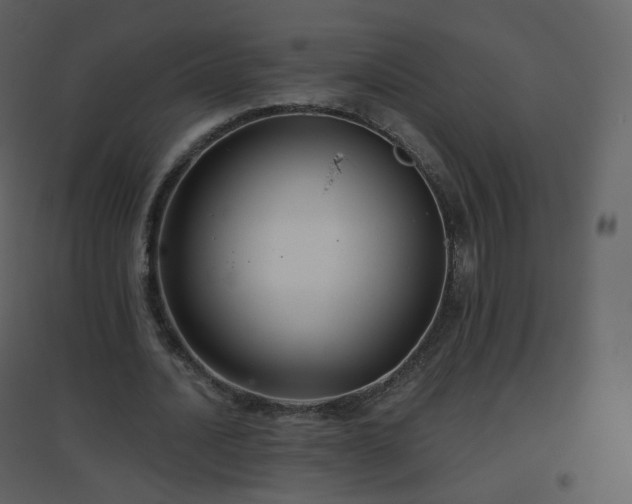X0000096630628200802121048