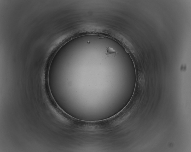 X0000096630629200802121048