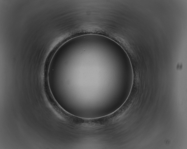 X0000096630630200802121048