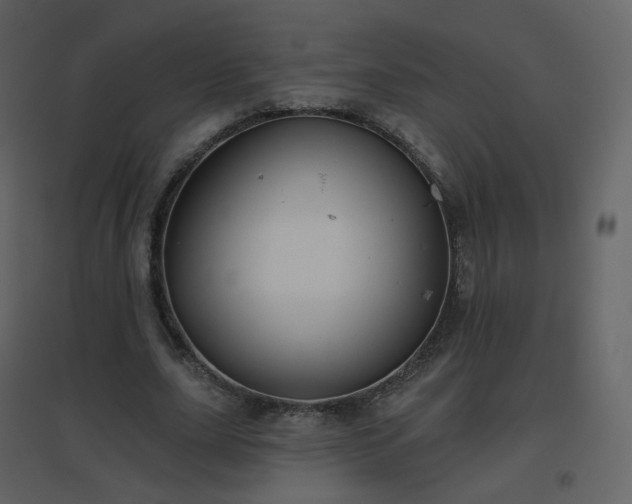 X0000096630631200802121048
