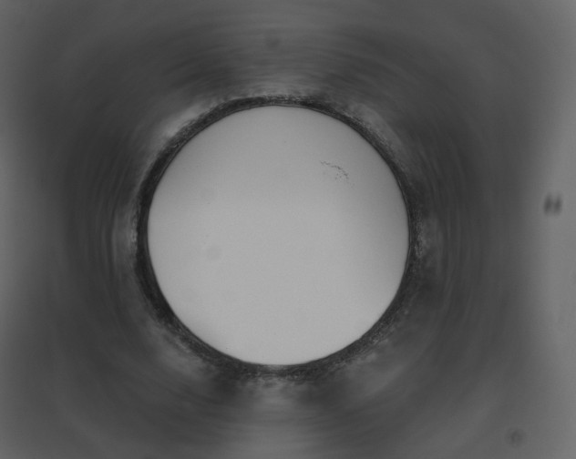 X0000096630632200802121048